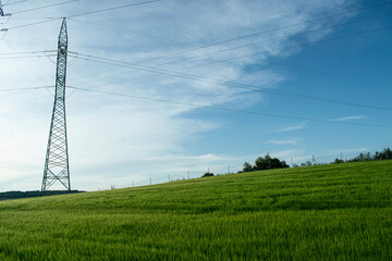 Paisaje de prados verdes en verano con tendido eléctrico.