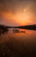 Red sunset in the smoke after a forest fire. Phone wallpaper in the form of dried trees in a river at sunset.