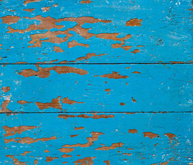 The texture of old shabby boards painted with blue paint. Tree in the loft style.