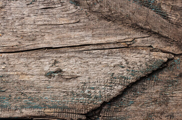 The texture of the old shabby boards. Tree in the loft style.