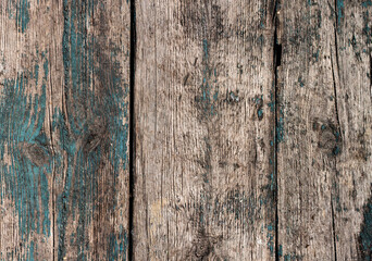 The texture of the old shabby boards. Tree in the loft style.