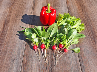 composition of fresh vegetables (radishes, peppers, spinach, salad) in the sunlight on a wooden textured background, shadow of vegetables