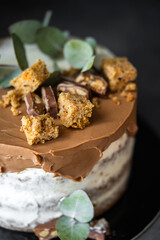 Fragment macro Delicious chocolate cake with icing on a dark background with herbs. Confectionery sweets.
