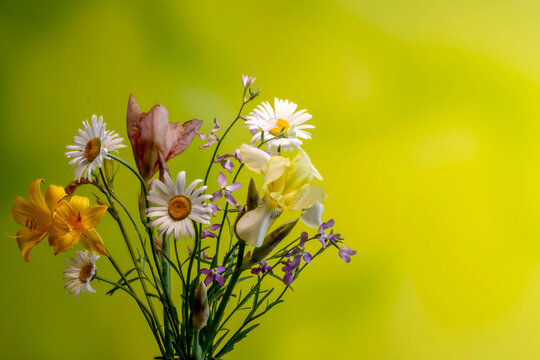 bouquet of different summer flowers on a yellow-green background
