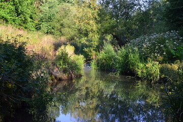 Fototapeta na wymiar The River Mole in May in Horley in Surrey.