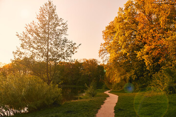 Park with a path and rows of old trees. Park Alley in the sunset. High quality photo