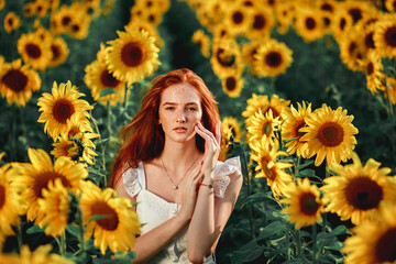 young girl in sunflowers on a Sunny day