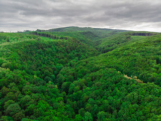 Fototapeta premium Photo of a dense forest from a height on a cloudy day