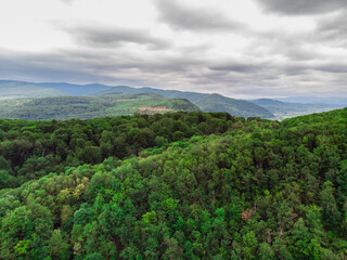 Fototapeta na wymiar Treetops on a background of mountains in cloudy weather