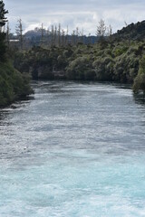 Fast flowing Waikato River at Huka Falls among shores covered with dense native bush.