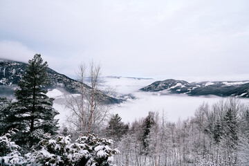 In the cold winter the sun is bright