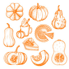 Vector ink set with pumpkins and desserts in orange color - 354034097