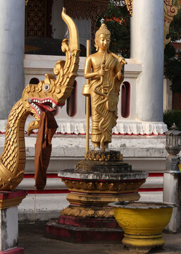 Golden standing buddha image with a dragon head as religious symbol in a wat or buddhist temple in Siamese Lao PDR, Southeast Asia