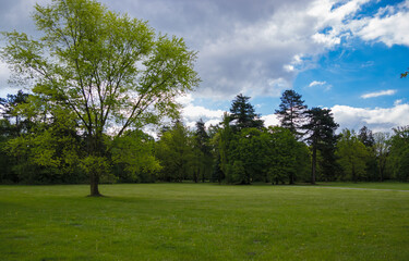 Krajobraz w parku.