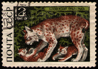 USSR - CIRCA 1969: stamp printed in USSR, shows animal Eurasian Lynx (Lynx lynx), circa 1969