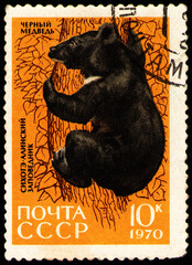 USSR - CIRCA 1970: stamp printed in USSR, shows animal Asiatic Black Bear (Ursus thibetanus), circa 1970