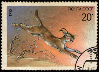 USSR - CIRCA 1985: stamp printed in USSR, shows animal Carakal (Caracal caracal), circa 1985