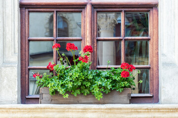 Fototapeta na wymiar Beautiful vintage wooden window painted in brown color. Wooden box with flowers on the windowsill.