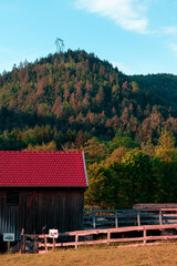 Wooden barn with red roof next to forest 