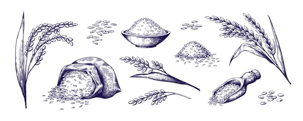Hand drawn rice. Organic cereal in bag and rice porridge in bowl, sketch doodle set of wild jasmine steamed and basmati rice. Vector outlined illustrations rice plant and grains
