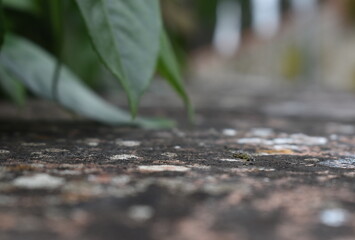 Photography with a handmade kaleidoscope lens After the rain what I saw in Sapporo Japan