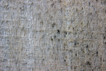 Texture of an old wooden board