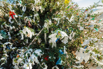 Colorful ribbons tied on a wish tree in Cyprus. Shot of a wishing tree with countless messages, wishes and hopes written down on different materials.