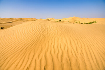 Fototapeta na wymiar Kubuqi desert in the Chinese province of Inner Mongolia, one of the biggest and driest deserts in China