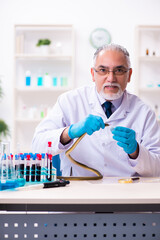 Old chemist holding snake at the science laboratory