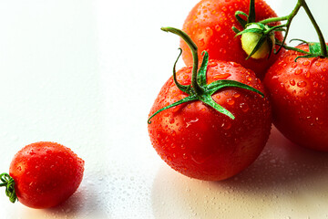
Ripe, juicy, red tomatoes on a white background. On the surface of vegetables are small droplets of water. contrast large m small vegetables