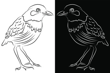 Beautiful small bird vector digital line art isolated on Black and white background