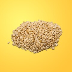 Barley.