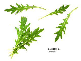Green fresh leaf rucola or arugula isolated on white background