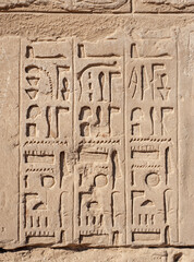 Hieroglyphic carvings on an ancient egyptian temple wall