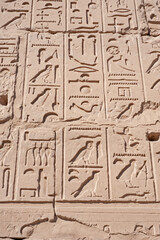 Hieroglyphic carvings on an ancient egyptian temple wall