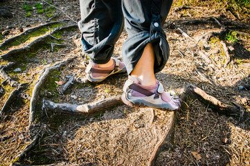 Feet go on the forest road. The girl climbs up the roots. Fitness in nature during a hike
