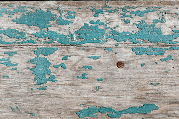 Blue texture of rough wooden fence boards background