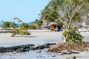 Rusty Boiler at McKenzies Jetty- Fraser Island