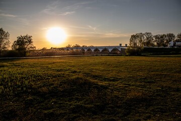 Fototapeta premium sunset over the field