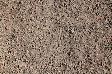 Dry fertile soil. Top view. Background. Texture.