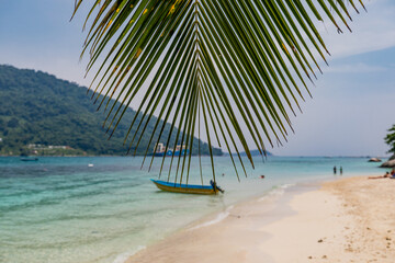 Palm tree at tropical beach an Perhentian Island, Malaysia