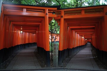 伏見稲荷大社千本鳥居