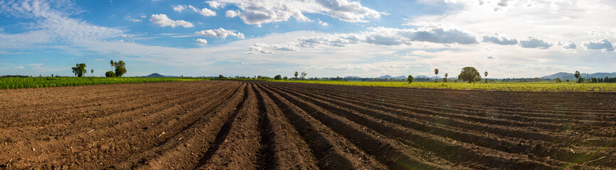 Panorama photo rows of soil before planting. Furrows row pattern in a plowed field prepared for planting crops in spring. Panorama view of land prepared for planting and cultivating the crop.