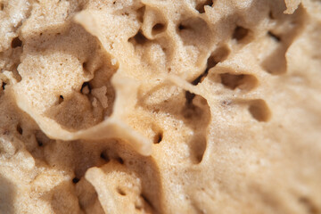Close-up of cooked dough in soft focus
