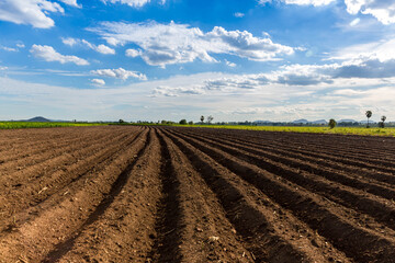 Rows of soil before planting. Furrows row pattern in a plowed field prepared for planting crops in...