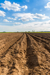 Rows of soil before planting. Furrows row pattern in a plowed field prepared for planting crops in spring. view of land prepared for planting and cultivating the crop.