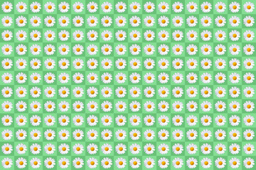 popart with plenty of daisy blossoms on green colored background