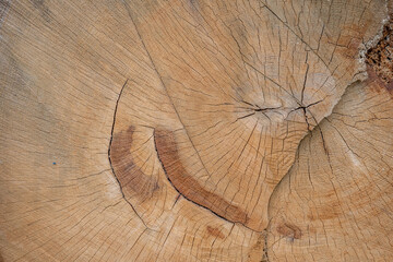 Wood texture with radial circles.