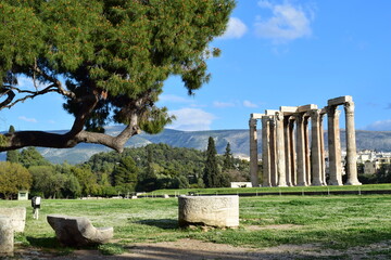 Temple of Olympian Zeus with a tree