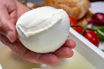 Cheese maker holding in hand fresh handmade soft Italian cheese from Campania, white balls of buffalo mozzarella cheese made from cow milk in container with water